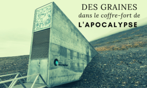 Lire la suite à propos de l’article Svalbard : Des graines dans le « coffre-fort de l’apocalypse »