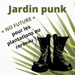 Jardin punk